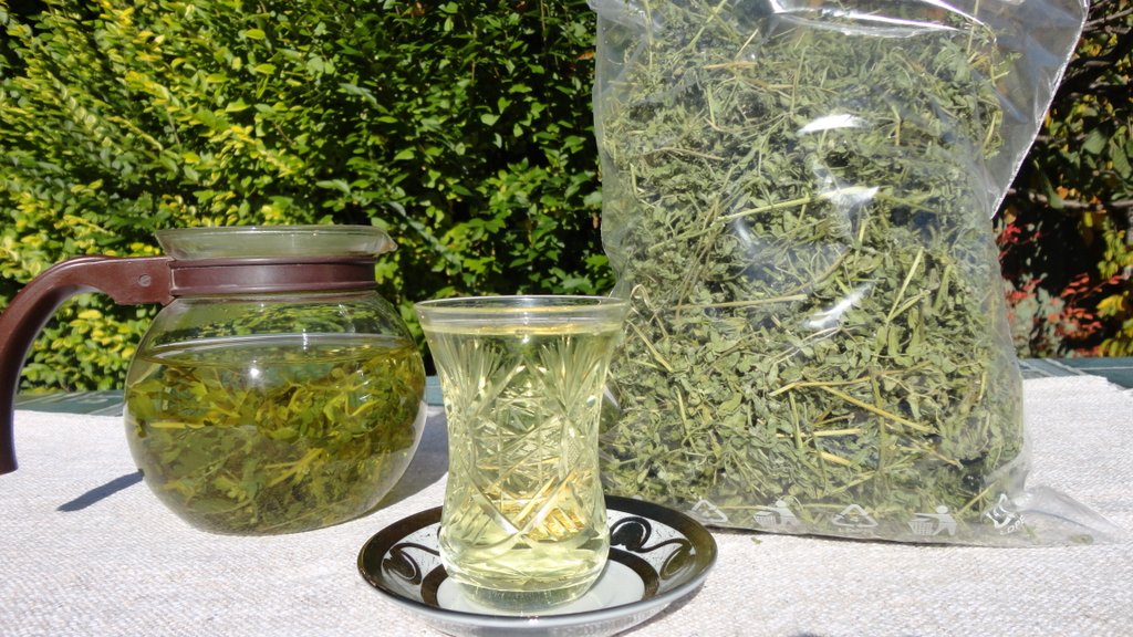 příprava čaje z kotvičníku zemního