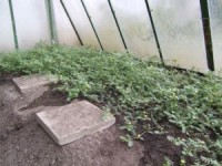 /album/fotogalerie/dscf3985-jpg1/